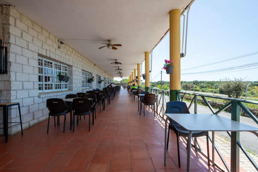 Camping Monfragüe - Terraza Restaurante